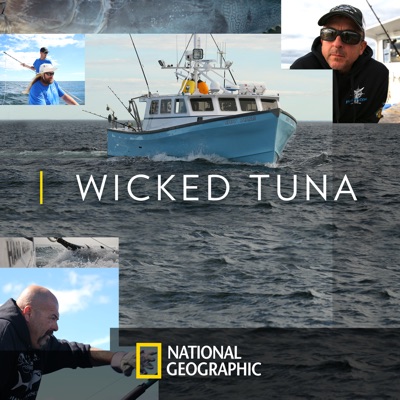 Télécharger Wicked Tuna, Season 6