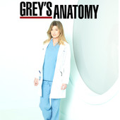 Télécharger Grey's Anatomy, Saison 9 (VOST)