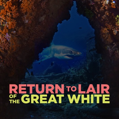 Acheter Return to Lair of the Great White en DVD