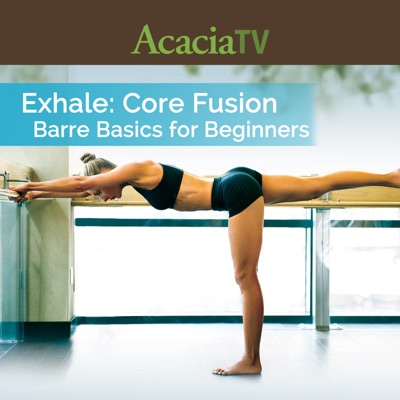 Télécharger Exhale: Core Fusion - Barre Basics for Beginners