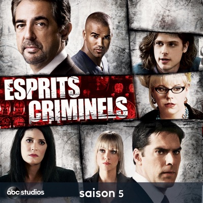 Télécharger Esprits criminels, Saison 5