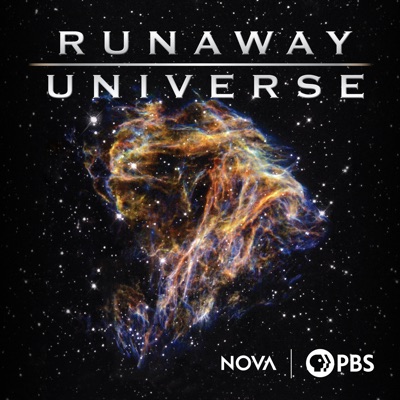 Télécharger Runaway Universe