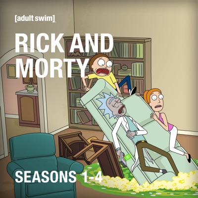Acheter Rick and Morty, Seasons 1-4 (Uncensored) en DVD
