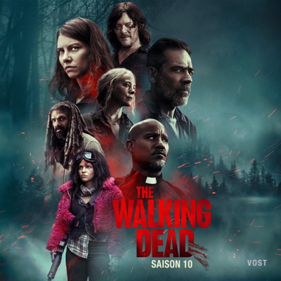 Télécharger The Walking Dead, Saison 10 (VOST)