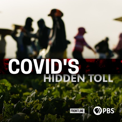 Télécharger COVID's Hidden Toll