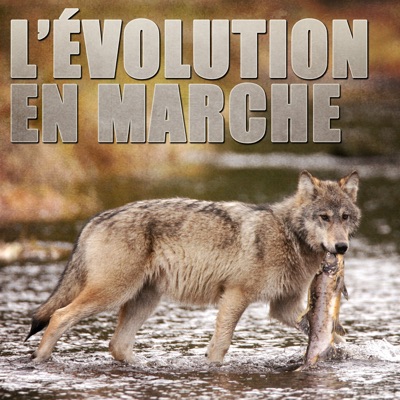 Télécharger L'évolution en marche