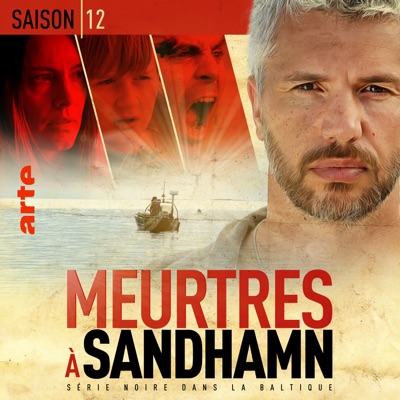 Acheter Meurtres à Sandhamn, Saison 12 (VF) en DVD