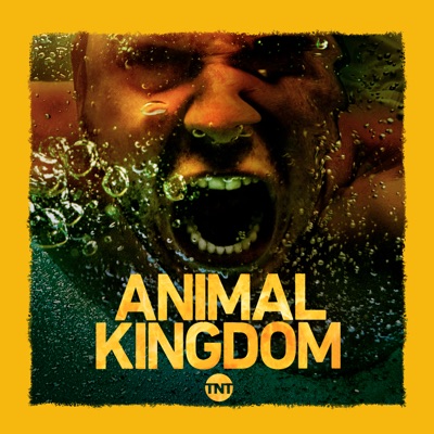 Télécharger Animal Kingdom, Season 3