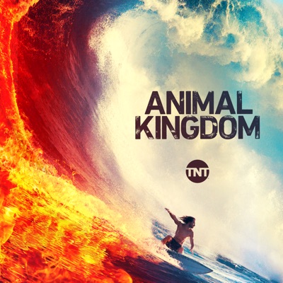 Télécharger Animal Kingdom, Season 4