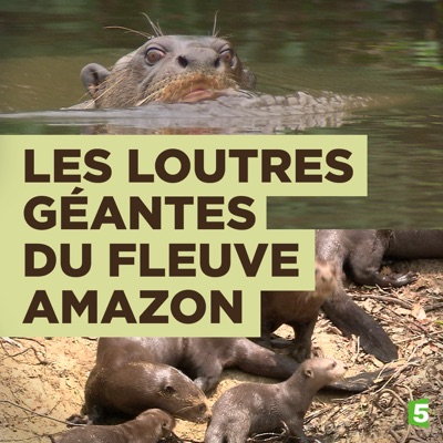 Acheter Les loutres géantes du fleuve Amazone en DVD