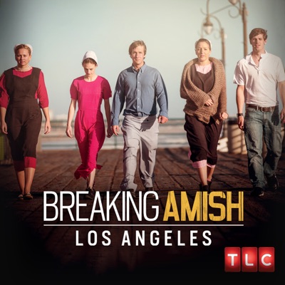 Télécharger Breaking Amish, Season 3