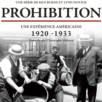 Télécharger Prohibition