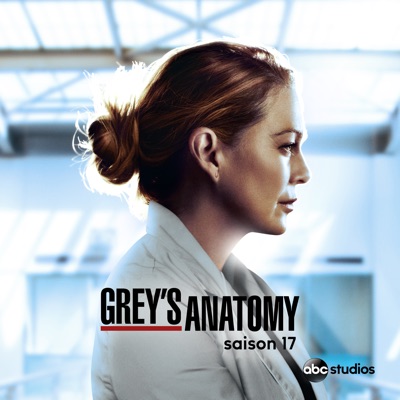 Acheter Grey's Anatomy, Saison 17 en DVD