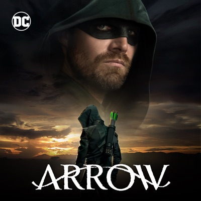 Acheter Arrow, Season 8 en DVD