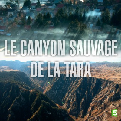 Télécharger Le canyon sauvage de la Tara