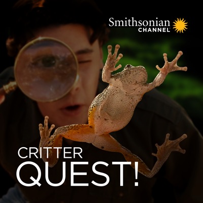 Télécharger Critter Quest!