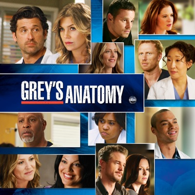 Télécharger Grey's Anatomy, Season 8