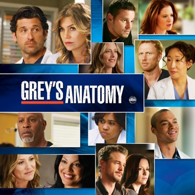 Grey's Anatomy, Season 8 torrent magnet