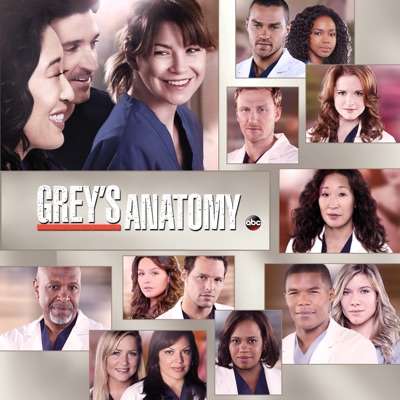 Acheter Grey's Anatomy, Season 10 en DVD