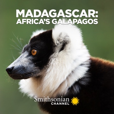 Télécharger Madagascar: Africa's Galapagos