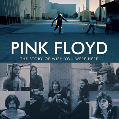 Télécharger The Making of Classic Albums, Pink Floyd: The Story of Wish You Were Here