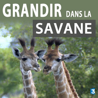 Grandir dans la savane torrent magnet