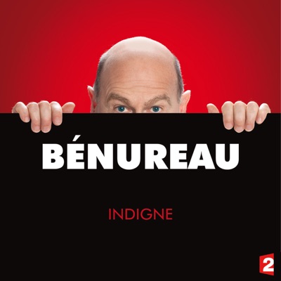 Télécharger Didier Bénureau, indigné
