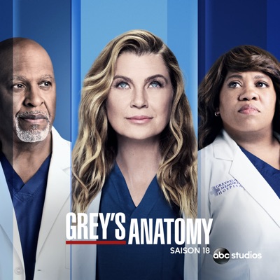 Télécharger Grey's Anatomy, Saison 18