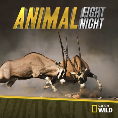 Télécharger Animal Fight Night, Season 4
