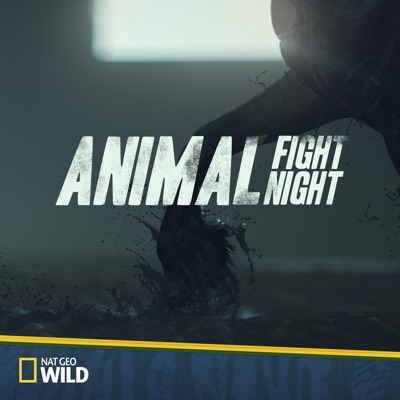 Télécharger Animal Fight Night, Season 5