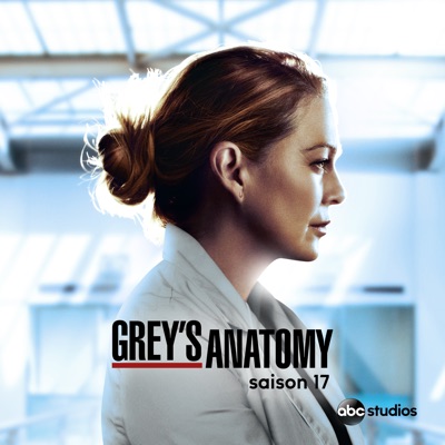 Télécharger Grey's Anatomy, Saison 17 (VF)