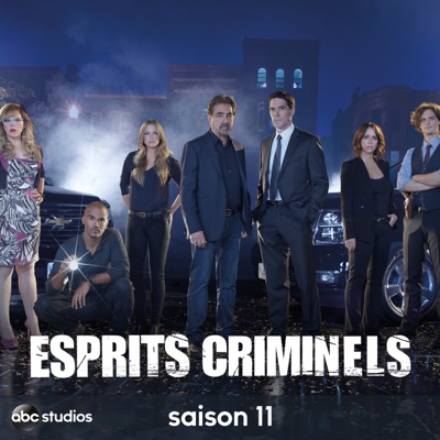 Télécharger Esprits criminels, Saison 11 (VF)