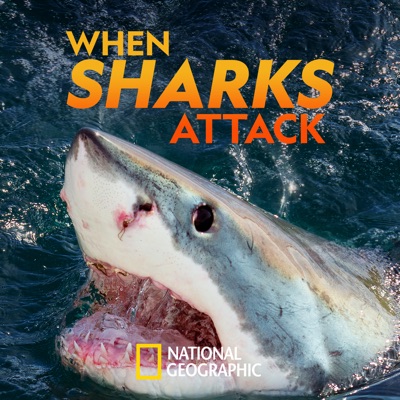 Télécharger When Sharks Attack, Season 8