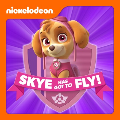 Télécharger PAW Patrol, Skye Has Got to Fly!
