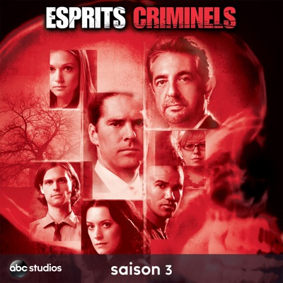 Acheter Esprits criminels, Saison 3 (VF) en DVD