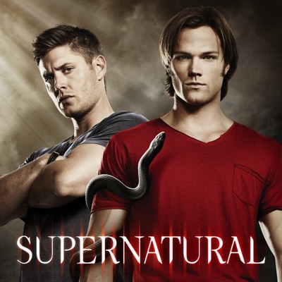 Supernatural, Saison 6 (VOST) torrent magnet