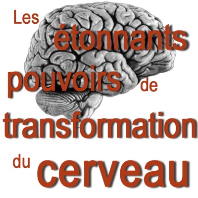 Télécharger Les étonnants pouvoirs de transformation du cerveau