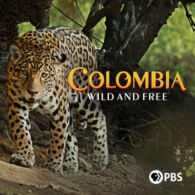 Télécharger Colombia Wild & Free, Season 1