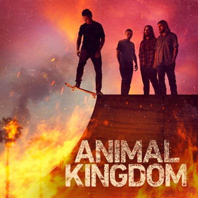 Télécharger Animal Kingdom, Season 6