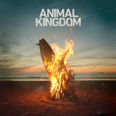 Télécharger Animal Kingdom, Seasons 1-6