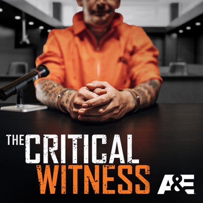 Télécharger The Critical Witness
