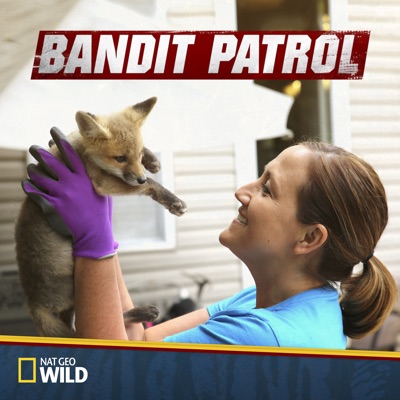 Télécharger Bandit Patrol, Season 3