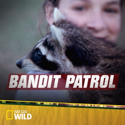 Télécharger Bandit Patrol, Season 1