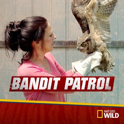 Télécharger Bandit Patrol, Season 2