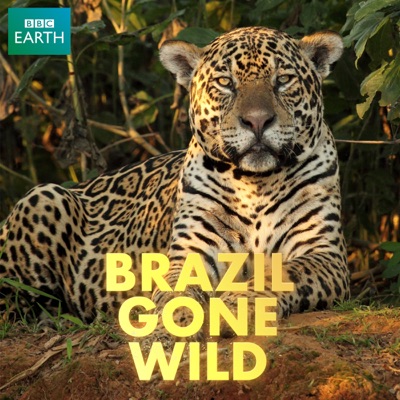 Télécharger Brazil Gone Wild
