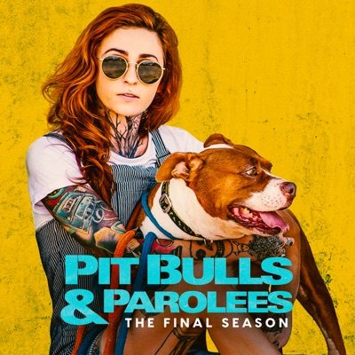 Télécharger Pit Bulls and Parolees, Season 19