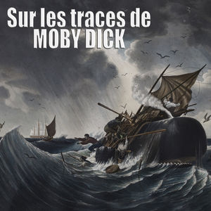 Télécharger Sur les traces de Moby Dick
