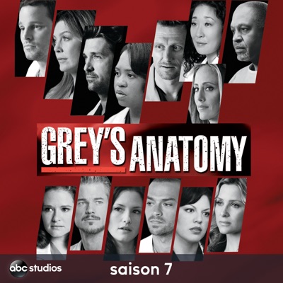 Télécharger Grey's Anatomy, Saison 7 (VF)