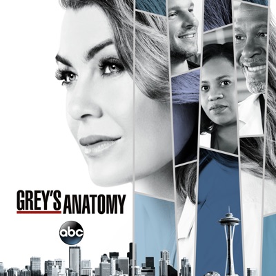 Télécharger Grey's Anatomy, Season 14