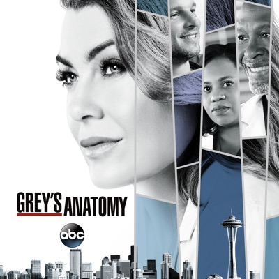 Grey's Anatomy, Season 14 torrent magnet